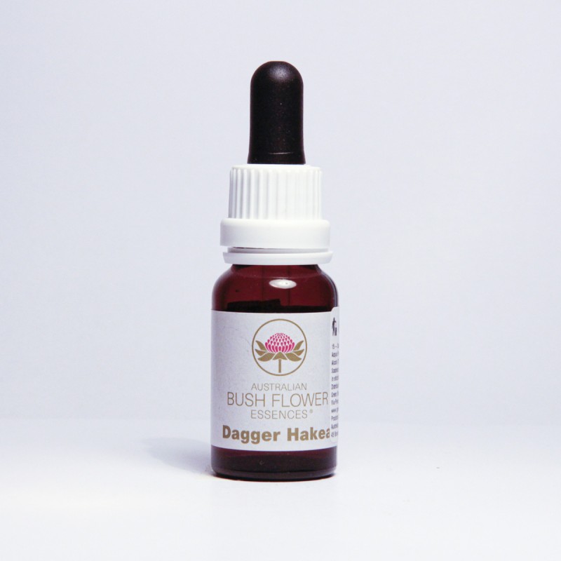 Dagger Hakea
