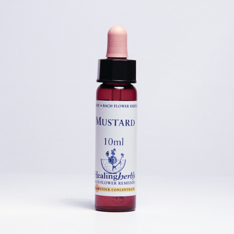 Fiori di Bach 21 Mustard