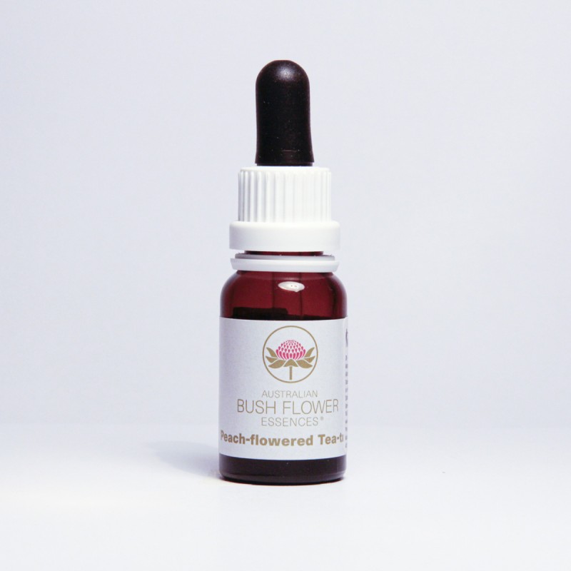 Peach-Flowered Tea Tree