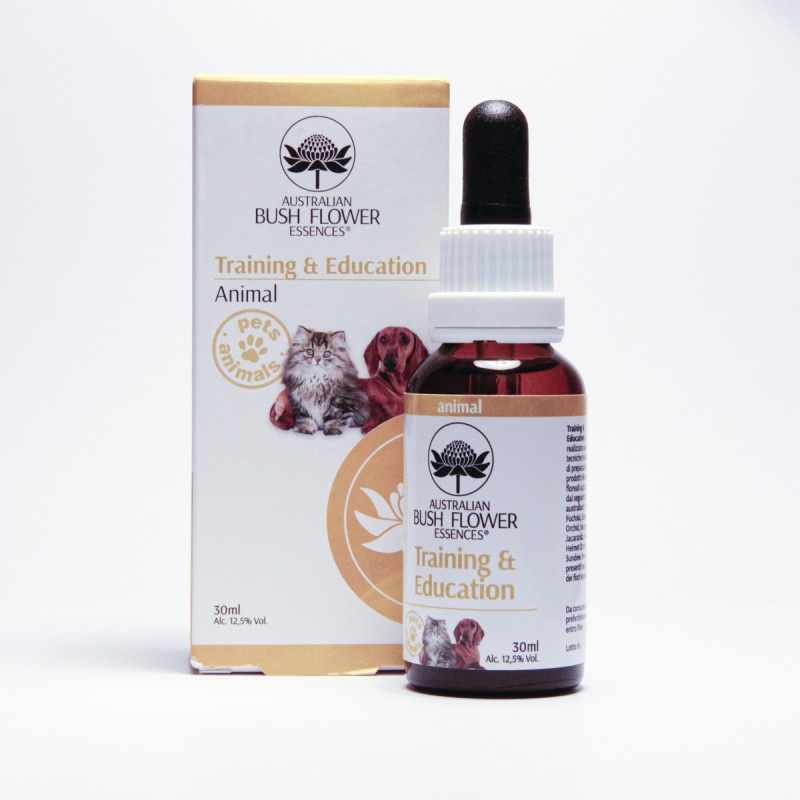 Training & Education