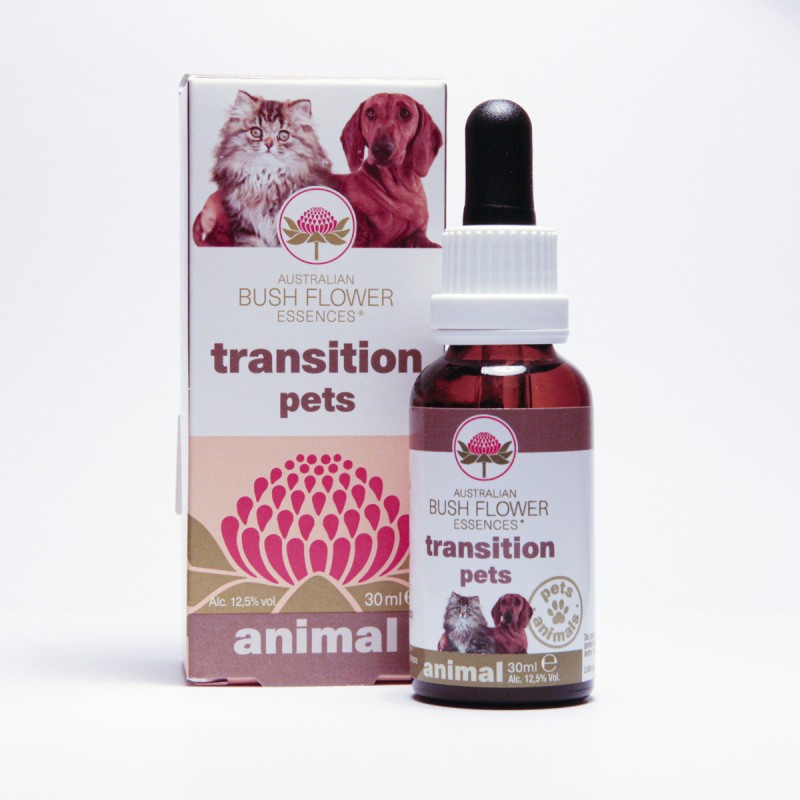 Transition Pets